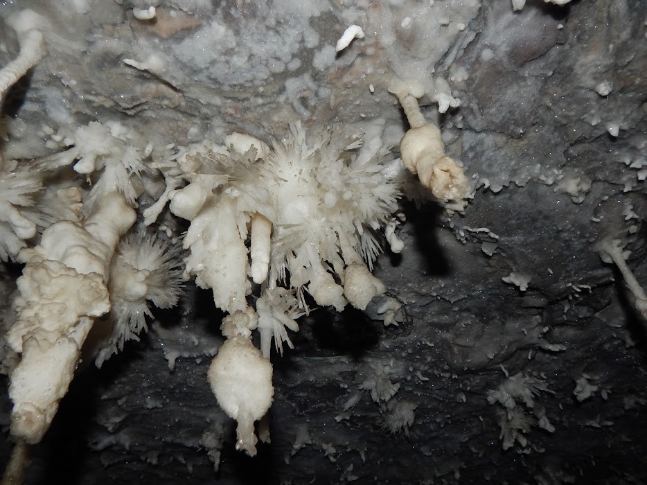 vMwI1QDEZMowwTyTG5SWh0Kxjf3-iM3ENxib2nDQ