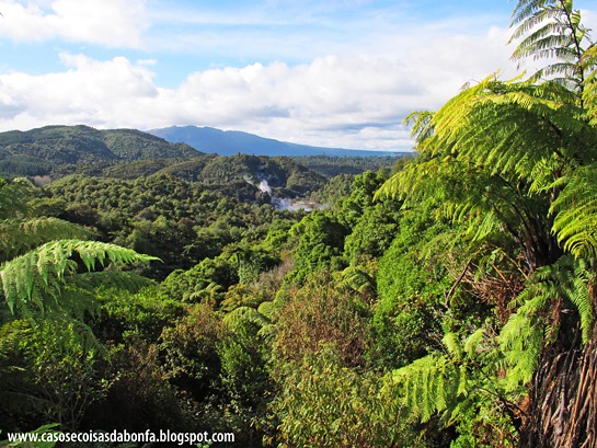 IMG_7139%25255B5%25255D.jpg?imgmax=800