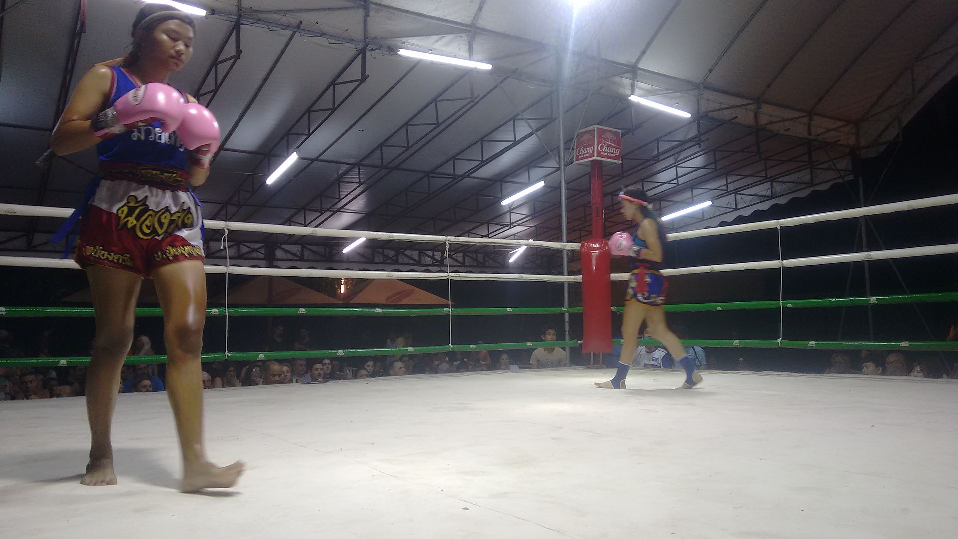 IMG_20160411_222807028?async&rand=0.9978928824214341