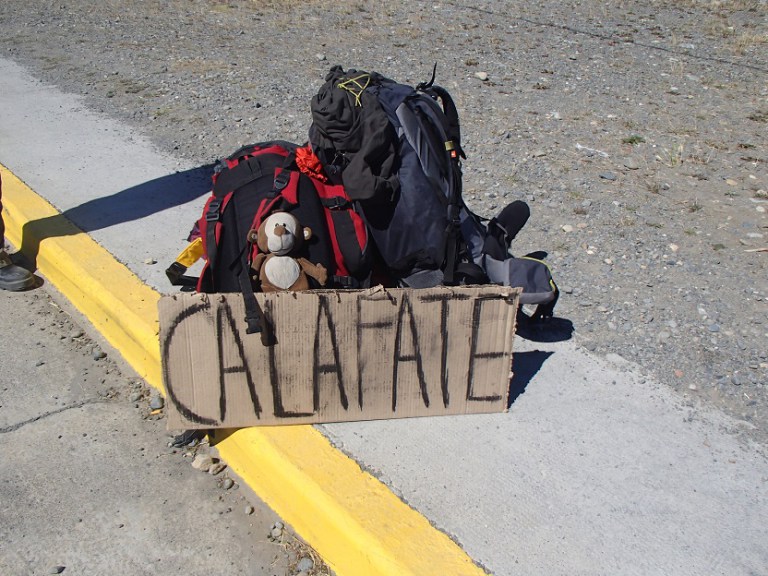 P1170678.jpg?resize=768%2C576