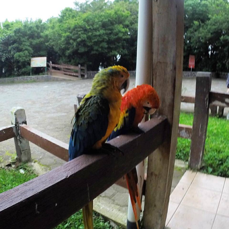 20108313_1400284686731286_3192196015087050607_n.jpg?oh=f8eddde427eb800fbbfe6cb566a0928a&oe=59F4BD06