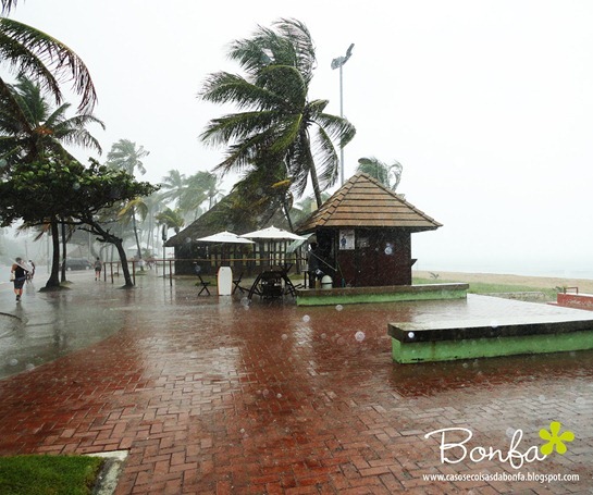 DSC04119a%25255B3%25255D.jpg?imgmax=800