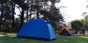 atibaia-pedra-grande-morangos-6.jpg?fit=