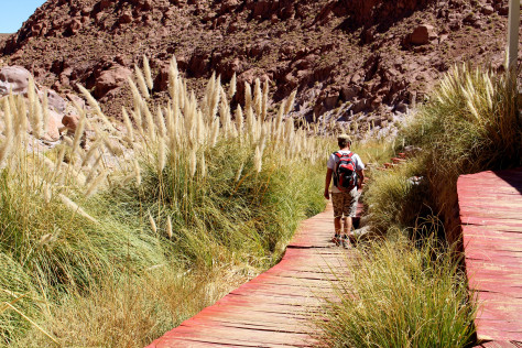 img_0778.jpg?w=474&h=316