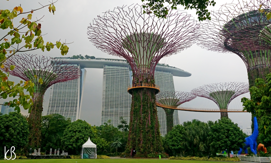 DSC_0849%25255B2%25255D.png?imgmax=800