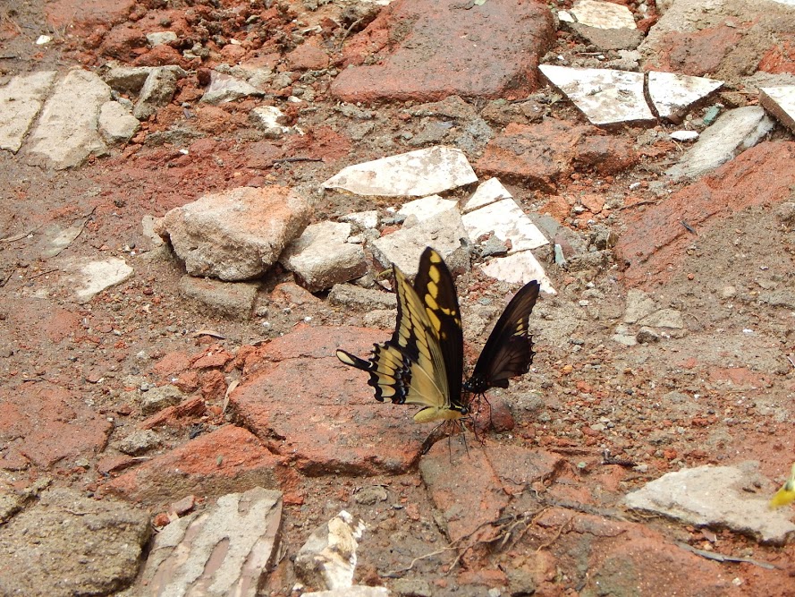 LbL4nY-fEUEPq6sVwetNbnEhN36BpkaVXqPeakYYdRL8h7zW57QL4TgWaGfRwJkrgNC4TuxZd_SWXhOjbCWmDDFkyvHC3ln8S3ZtdMRrIcoTbt69rAL7Ic1gTUizDw2DhQ9tAE6FsMN6Dz5p7ggFyRq0o8GQCt1Og8kh5VZguVpiZ7jd-Nw7YA7_TsqPZcPZ8g4kquFN8xqmkA8B4JlxMRoZ2xCNLGn9m5NxF4QxEX4SCg5WmW5Grbz-ze9fJ6BqVAB-aobkU1IeIJirnbPhNDpEo3VaqnIlpjSQz7671sZzZJB2VyES_S4sXuW7SPD_V26c_aWSG52K0vb11GmbRnaLM66ega1iZFNe6uBEj_0r1-KeT9vDHg6WJXlZ4AsWqe-av13wNlGRHHMqyfRbeBi70FgBLfwZYmloUshVkFsCrWeeE9nMdA3wEje0SHR1q-Y-dbDLA18mUvAvcgG2BFIvhI5SIhP4nzhtWZWtKGa_CRu5HTEp2EoXIILM1IjRDmg6pLULJSrnsRKheBJuIPTqxOQRqqArfIeNfIk6KKLS2ohWNE3Max3znZO_g8O63y_B=w890-h667-no