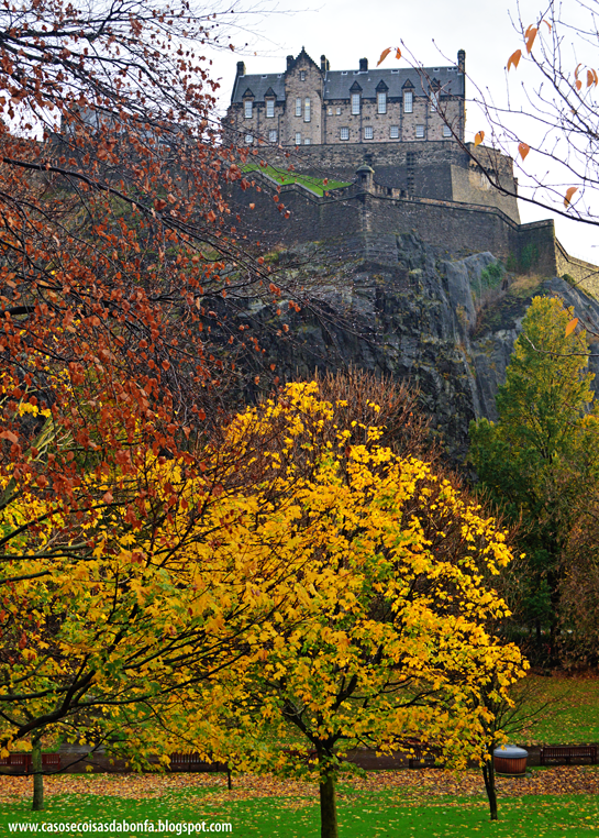 DSC_0237%25255B2%25255D.png?imgmax=800