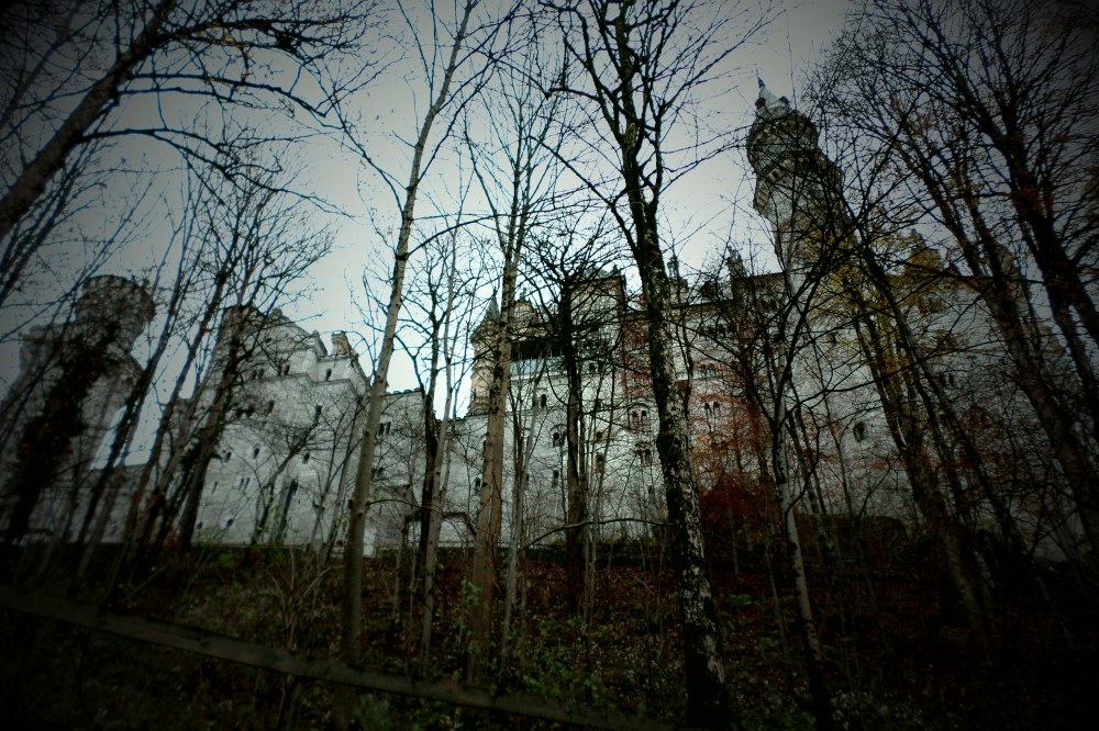 sam_1452.jpg?w=1000&h=&crop=1