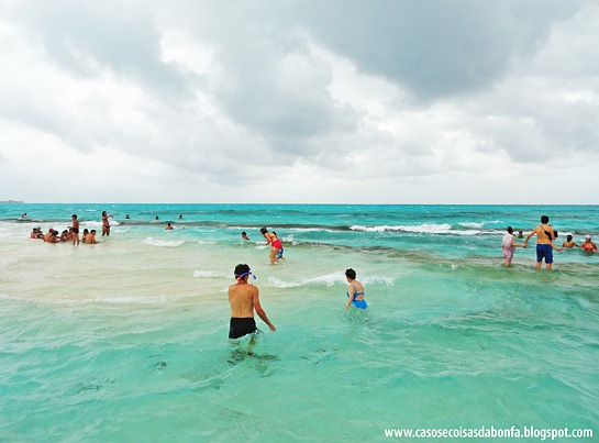 DSC08813%25255B19%25255D.jpg?imgmax=800