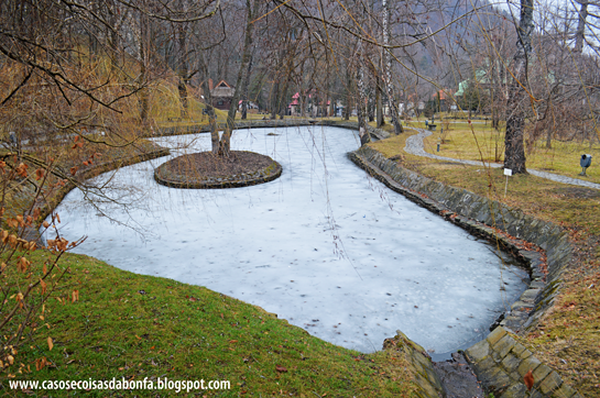 DSC_0834%25255B5%25255D.png?imgmax=800