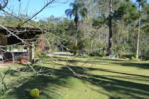 atibaia-pedra-grande-morangos-87.jpg?fit