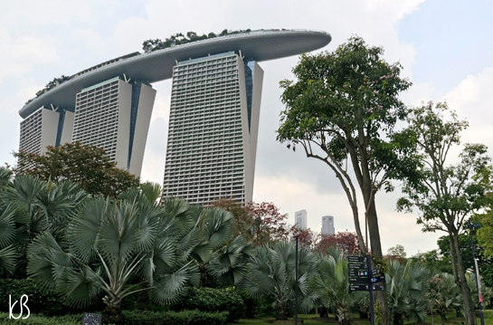 DSC_0754%25255B2%25255D.png?imgmax=800