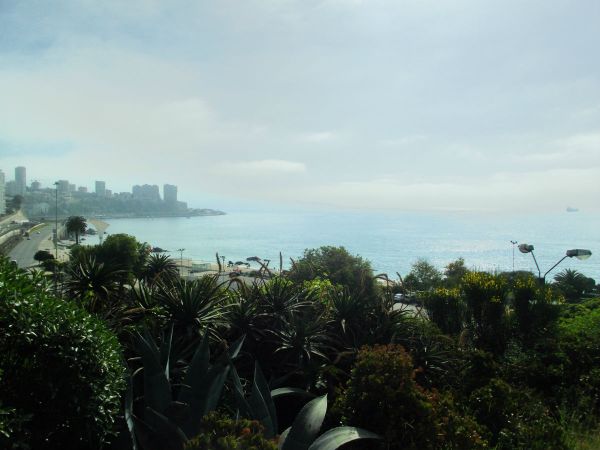 dscf0325.jpg?resize=600%2C450