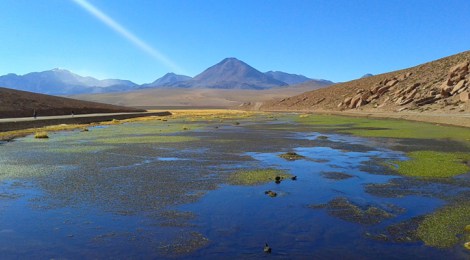 Atacama.jpg?resize=470%2C260