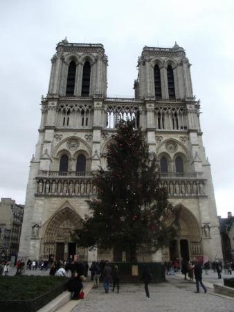 399805_364685923545308_1670269508_n.jpg?resize=338%2C450