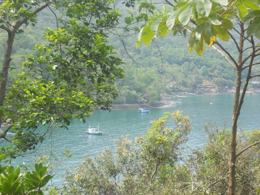 18226_538476599514491_1152232394_n.jpg?psid=1