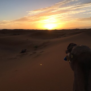 IMG_4780.jpg?resize=320%2C320