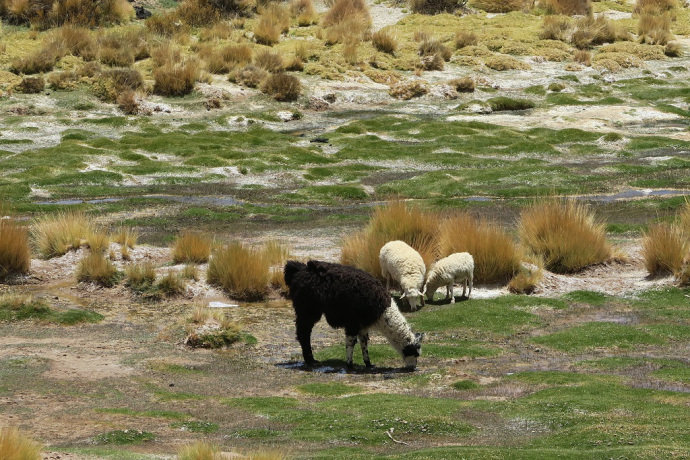 img_1253_zpspyyhdxa6