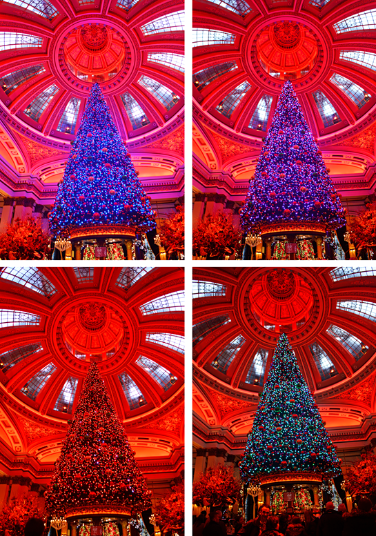 DSC_0287%25255B2%25255D.png?imgmax=800