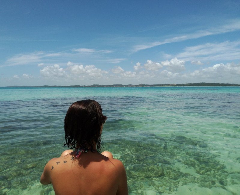 39900514_2259573537608663_37930103793076