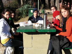 arg6.jpg?w=238&h=178