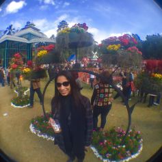 WhatsApp Image 2018-04-09 at 21.17.35