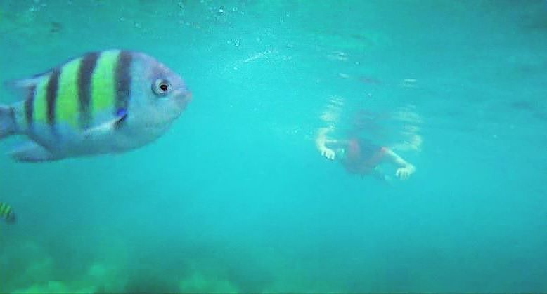 23_online?async&rand=0.7978711859533913