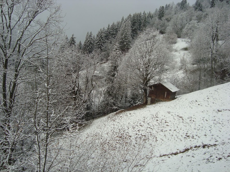 dAtTuClOyFOOLYgs6VA42QS_23USDCcyvf8D3VlDeAE=w890-h667-no