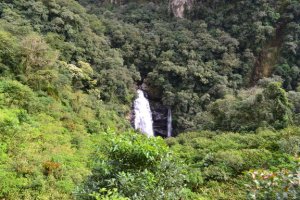 morretes-curitiba-parana-trem-14.jpg?fit