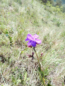 8M2pj8sVmAnisI3OULyZaoMhOXW7MA3sBvKBR7DjiMqzyPl2eynui7N9z257ieNp51rXGtJqT5_JvCHx6YFpDLhYd2pgb0Dd3r2IS8uMCOW8AJ2yNhFvmwrSyd_AauuA-c0j4jJSO4K9eQDnCkBwb3xvzARHqvKGTPAFrzM5E9tNK9bOyrtOvxMhDVszgZqZKcutdR64ao1TMFUoAEFoFhD90Cbh2NemXSUW8YiRS_D4eEtuU6115bUU6fLREGPG1ybRdKiewg7iyFg7dRqnseybuXDJbNvldBVNYLuLJpV69GWCewmhkbr1RNC5rDPguyEqXMr9zxFQS-0SGHBxfPIciSfZQz26IeJeScTzpP2MmCOaxsmH7uHs0QcVM7BVgLhk05Viojm6PviwQuMH8xhFC2r-MXEIK0OQ3XR2U_TQ_1PFd7zxLt-kQwU0fEejY5jX41NI5CEoolJyFXu01WXBb8mCBLOyr2iaZmG6RJ89nQk93BbE6PaL0ajZye_jijiyDCPiOfnT2n0ZTv4Tr9FjZK14Ab44Jeo9TYr4mGOINw2ns2YYVAgdDbrjBujcBdUb=w273-h365-no