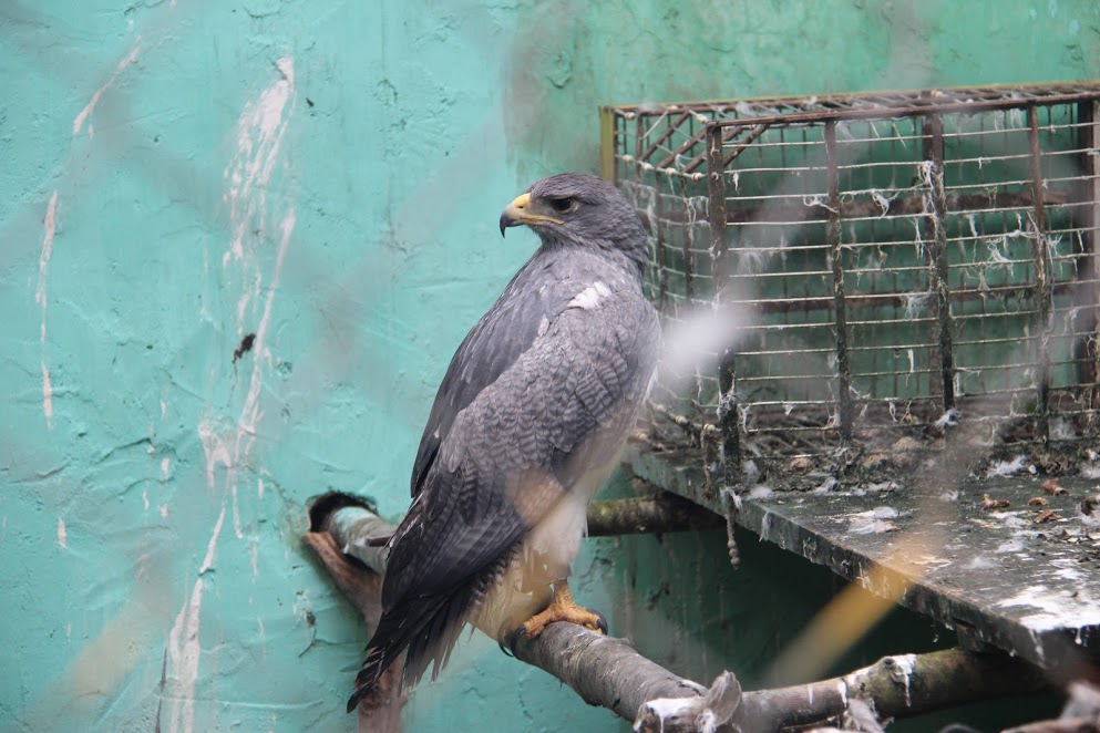 T1moHJ5wqvCeInIJivWTzZBgY-D2LRfJcIcm39cjV9ytRhOQ0XtkmjJExNBpR2QFWvnYCbIphF6OAQRd8HvhE5JvWICbg83VdEmQF7d2bKebUa06jiOegYfnwZxRDtFR204JsFXQ623fTu5pEDx962ce2DMjCYi2VUd6qXumsBQxtm76qtJcq9XxYQaD40CaFCQVBGrm4goNjniSnNT7v7UXX73GSWRAEiI2A1kU5nRKBEP19BnaO1B9gAGGO_iwHk0YVUBX08nxNwVxZvWgGcjp8mhbsFNxDj_Edh1bP1ctg-Sk_KlCe_WxJae3SKFRt8niHiQiAnFmR65f3SsES_f-HYx6oidfLbCF16wJTKTLU0DTJtaGsaaHhhlFECD5WaKMoLt0IR-psqAcssVu6Ck_FwEJC1mpCJSRd0ANonfWFsLtUqVZt4tGRsrWAm9LY2LS3ruFUr6aW4ss2-NbjBWy7rDb5dHTL5zz59Bv1Ux7t-iga2KxY9EQvySqUUGZSNQsqPr7yMizcF6Yl8gRnY458ObqrMURqXSGW7sV0W0A-MlGrwSHXPb7dAVT5UWeIdr1IyrsBnwW02UeR81EktzuZPr1AgIeYDpPFExospzidk5WKGaax2c4JyjfMU4vaer29ktUQDv7e2KORtB6S7t0suWvIJo1F4-XF9HkYvf6tg=w994-h662-no