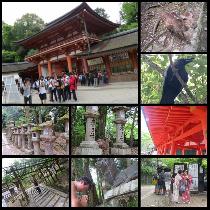 PhotoGrid_1440112217389?async&rand=0.28049526473359565