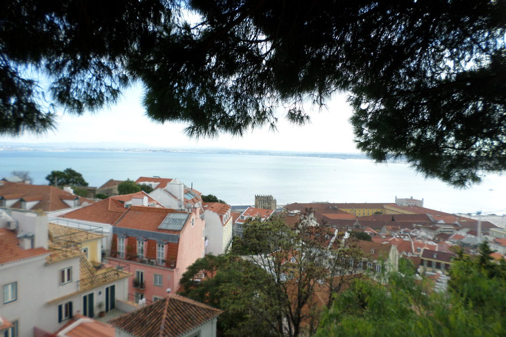 sam_1256.jpg?w=1000&h=&crop=1