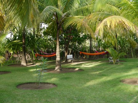 p1010202.jpg?w=448&h=336