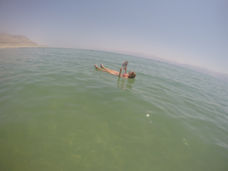 g1836098.jpg?w=323&h=242