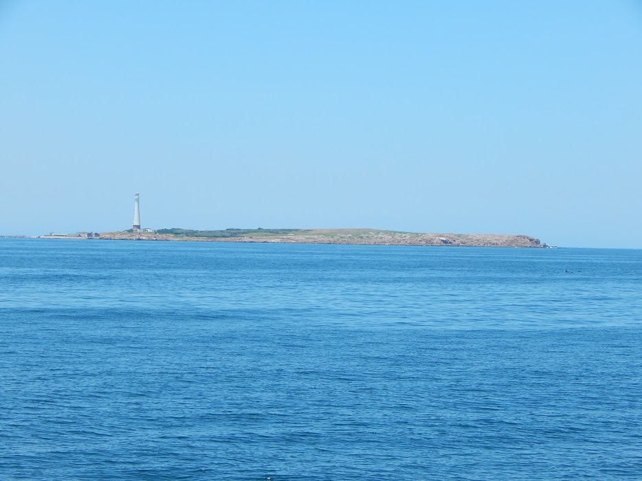 QsYp0_MKd43q5CLjJdeFOmqThYdJ8bl7agWM5QO_TogxEbHpz1wGuEcuoPWPlIgGPFSY-qg46DYGMcUGrtq4-hm5c5PpG-IxPtTmx22xTJuig0o7ENxQJqOdFVVJb6uDqfQckWpIXQqEixtDD-twVNXTft7--Y_qvtNESZ85tSj8SbHjssf_HPrshp5cZyDBNumvl6VK3g_Jh6lQkBAbKVmFMrvPcZW8toXoIGn2MK7abU9czA6MzAdabL5JqwUOkBsc-kkQ5RRaHKgEp6hNoKH69w7-eoqOgv5dbFeBi-G8H-cTs5SoGnjOVT6siV9RkxjMiUjydK4TUegXL8s_S-ptPMaiAfttftExCkd841No2XkYKioYBlNOYF-TNOmYszYVKQM8yJNLzRZA_tRawWL3EiY06iIaWuFsVsDx1tYuS6KttqMuiPKbJAJESt5tjRxOZAT3U8vT8Rj2fu2FxtYSSRkHHwecZTTjo9eYNk5lKcEMILl26RgtPIV973V7A8TIGHk6Xh1AoRD2drFEhg3lUIZciZa6OQcJUsF6EDdbA3Yrkv7RqA946jShHxbowP9jW-L_10FtJVU3i0mQfcADGjc78Eqt69dH9W29gmVbWBtO3jle=w934-h700-no