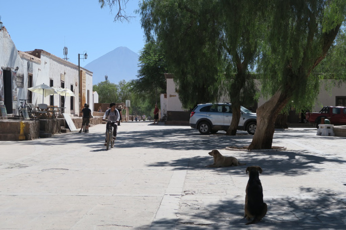 img_1401_zpsynditjlg