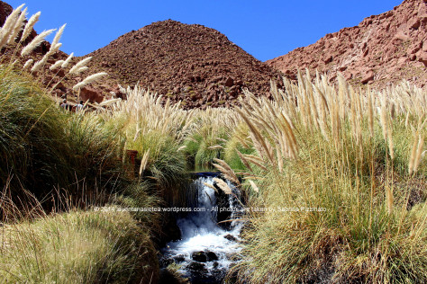 sp_ata_0181.jpg?w=474&h=316