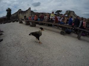 provins-franca-europa-16.jpg?fit=300%2C2