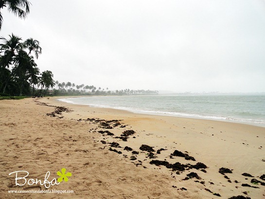 DSC04138a%25255B3%25255D.jpg?imgmax=800