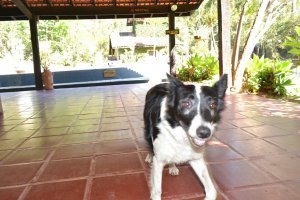 atibaia-pedra-grande-morangos-104.jpg?fi