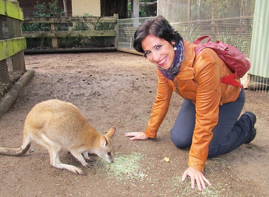 IMG_4572%25255B3%25255D.jpg?imgmax=800