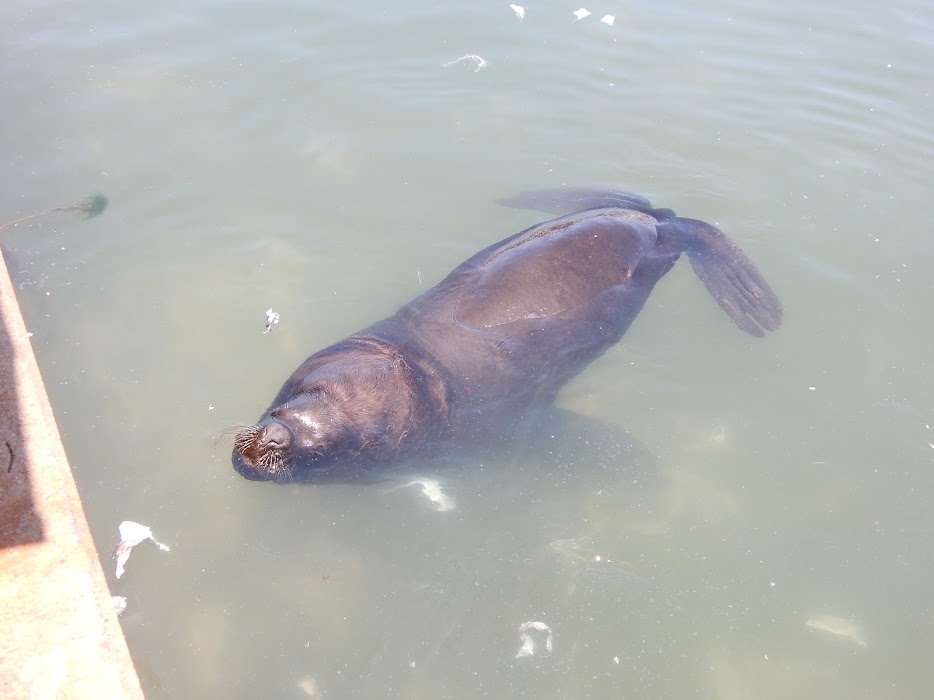 qM5elIxrD9ibhAGWK_i1OFF1A1B9NLmzsh9uqZn7gf10qqwGVUyNrCM29yaOprmx7c_negHohLVJhEhk8sE3tcKBZ0HCwqZAqwsdgUranOlV3e4yLlvuAyu-dXT2SBuKj-0WE9_zlpMLNkz25U7ETkRhYoVzUmOUQwMHn57ahtkPC6GUSZ8mfSF9GftXWIAdqKS4XLSnYwA-7niTQCVHS1P2VkMISKza2V5oAn6aftmj5qemHA8ds_EwkNMUBfvlbH07SHK2R86e2jr1jIjqCW8Y3ZRck51LrKlL4_6Ky5F_LkEGffyiFMsgLQ9K_HRtmg2XbykvKpXeN3z-6JIKK-8CCYG1t9sx54okRXuBA-RF5Pz5bj1PGNKRn89_k2uqoANPK_CfDz6u-bbTr4inugPsk5QyEMnBlg8fFwcrq9Ew9Xz-EKCWSzzfcyY0DNP7yb9bAgBltYCsDJLrTg7s6JWTyp0aqH3ehm-rz2DBtG1p3vYLffvxaaCs2eSexiMVJAtVbjAoYAG6KMWQiXvisugdOCEFLDTsTpuPTygbD9B3pV_91V5I9JVFe3K6ETm7ylZSxVCdTEYJf1CtYUPJ0vL1ez2qceVTw1QLEbxo7xmcItTTG1PS=w934-h700-no