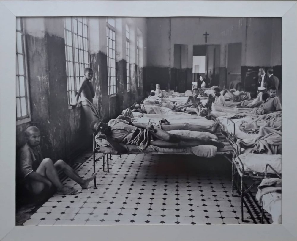 44994495_313499295906001_825102066829282