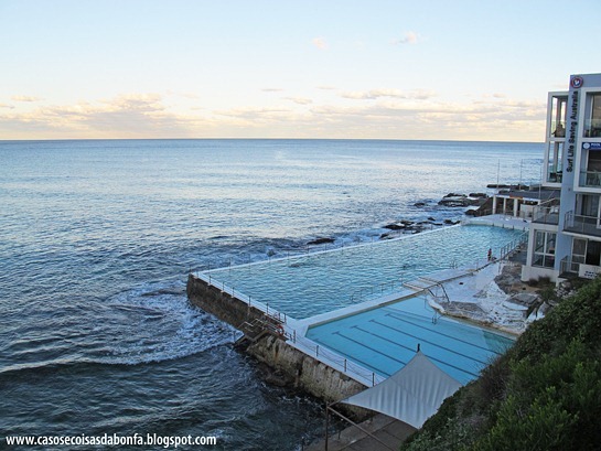 IMG_48957.jpg?imgmax=800