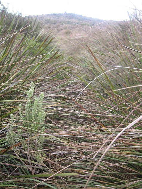 HpdyxcIQchu4dbX79d7RsJNLYpmCDbCPGbknplfk