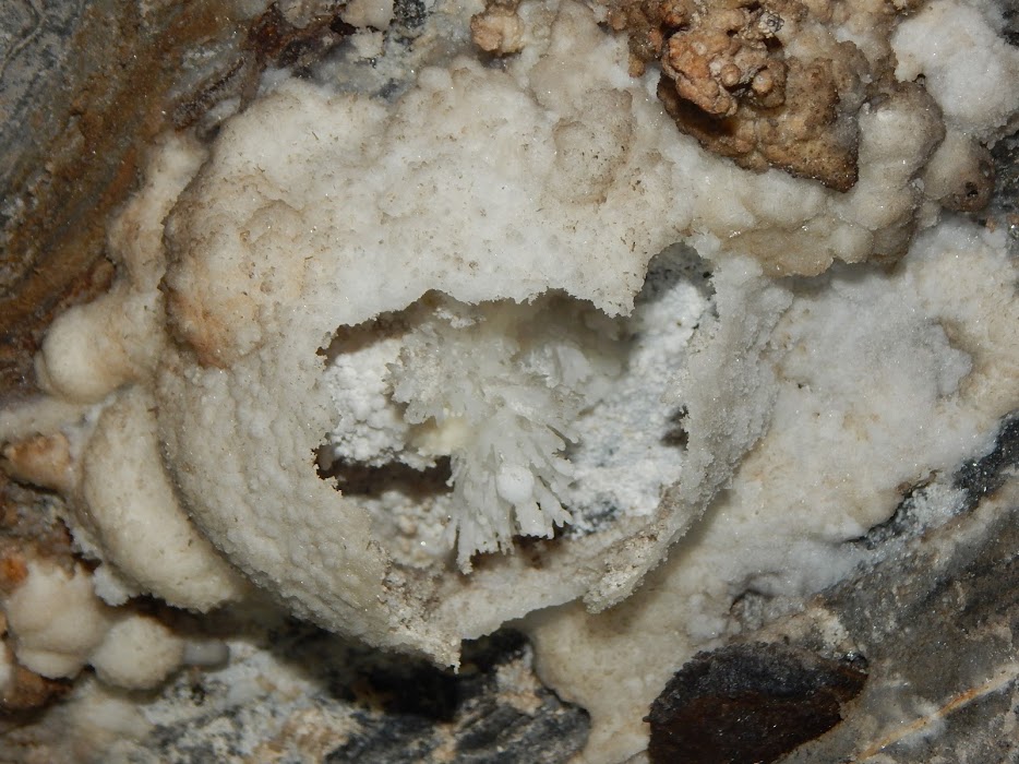 34Y11NOk7s4N9bNI_-tT8BXP6PbrQl040LV9ayAk