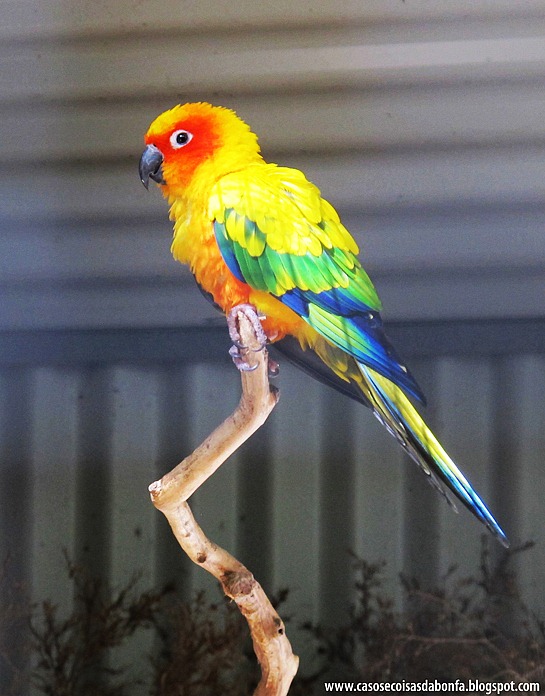 IMG_4673%25255B5%25255D.jpg?imgmax=800