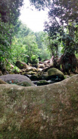 img_20140418_131939636_hdr-e1409108738708.jpg?w=153&h=272&crop=1