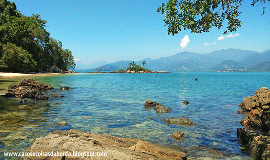 DSC_3331%25255B8%25255D.png?imgmax=800